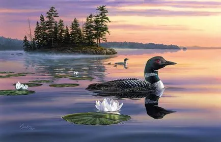 Cifrele cu privire la natura acestei Cifrele cu privire la natura acestei
