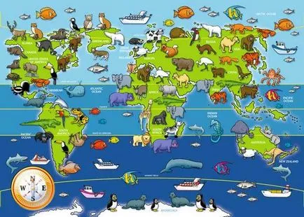Obiecte ale naturii, care este