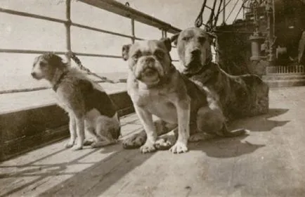 10 fapte puțin cunoscute despre Titanic
