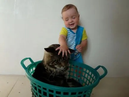 10 Cele mai bune rase pentru copii