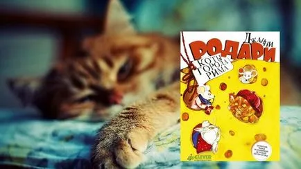 Top 12 carti despre pisici - animale fotografie