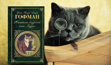 Top 12 carti despre pisici - animale fotografie