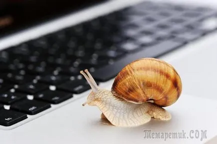 12 moduri de a face pe termen mai rapid la Internet