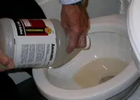 Mijloace de 5 pentru îndepărtarea mirosului de mijloace urină de pisică, metode, prevenire