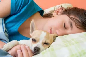 7 motive pentru care câinele ar trebui să dormi cu tine (pentru a dormi mai bine noaptea) 7 motive pentru care câinele ar trebui să dormi cu tine