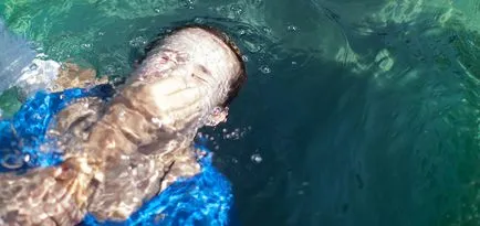 5 lucruri pe care trebuie să faceți după ce a primit salvare