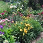 flori parfumate pentru gradina (41 poze) video de instalare, instrucțiuni cu mâinile lor, în special plante (flori parfumate pentru plante gradina cu propriile lor mâini) flori parfumate pentru gradina (41 poze) video de instalare, instrucțiuni cu mâinile lor, în special plante