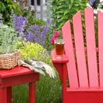 flori parfumate pentru gradina (41 poze) video de instalare, instrucțiuni cu mâinile lor, în special plante aromatice () flori parfumate pentru gradina (41 poze) video de instalare, instrucțiuni cu mâinile lor, în special plante