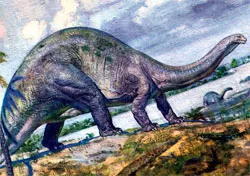 Apatosaurus (Brontosaurus) - dinozaur plante mananca