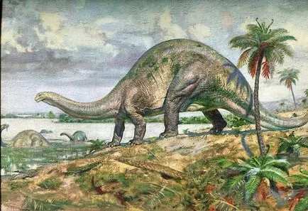 Apatosaurus - apatosaurus, brontozaur, brontozaur - Dinozauri