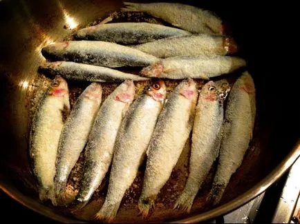 șprot apetisantă în casa de rețete de capelin pentru toate gusturile
