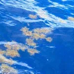 mistere din Triunghiul Bermudelor, ghicitori, povestiri (fotografii, video)