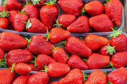 căpșuni în creștere de afaceri face un profit pe fructe de pădure proaspete (de afaceri) căpșuni de afaceri în creștere de profit pe fructe de pădure proaspete