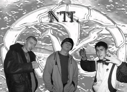Biografie grup NTL, rap română