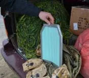 vestă antiglonț cu mâinile, aproape - Revista militară