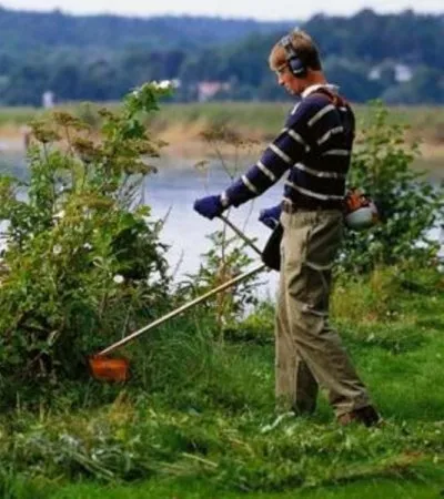 Iarba tăiată pe un teren (MOW) Cum să taie iarba de pe site-ul