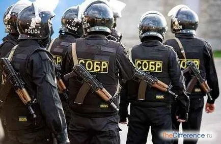 Care este diferența de revolta colectate, ceea ce este diferența