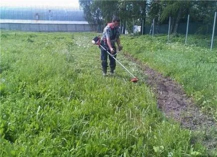 Iarba tăiată pe un teren (MOW) Cum să taie iarba de pe site-ul