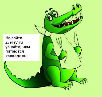 Crocodilii de alimentare și care pot fi prada