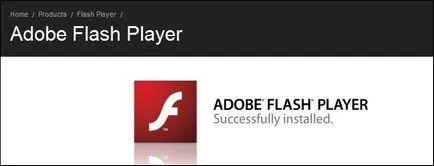 Ce se poate face în cazul în care plug-Shockwave Flash nu răspunde în Google Chrome