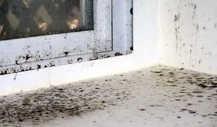 Ce se întâmplă dacă fluxul de ferestre din plastic cauze și soluții