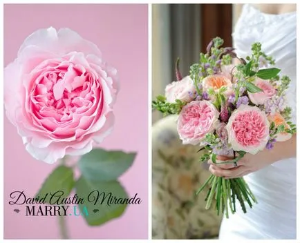 Ce trebuie să știți despre bujori la nunta (buchet de flori mea) Ce trebuie să știți despre bujorii de la nunta