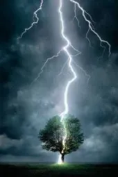 Ce este fulger în imagine și unde acest fenomen natural (unde) Ce este fulger în imagine și unde acest fenomen natural