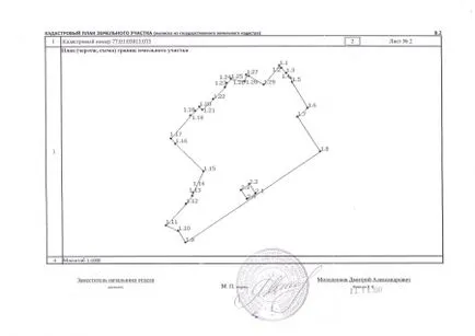 Care este planul cadastral al terenului, precum și în cazul în care puteți obține o listă de documente (secțiunea) Care este planul cadastral al terenului, precum și în cazul în care puteți obține o listă de documente