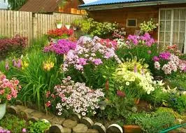 gradina de flori langa casa cu propriile sale mâini, fotografii (în apropiere) gradina de flori în apropierea casei cu mâinile proprii, fotografii
