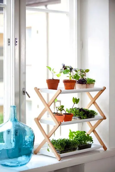 Flori in interior