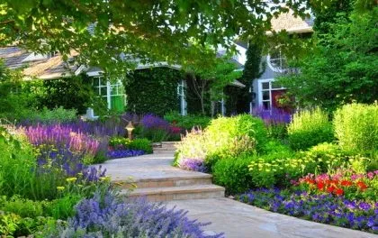 gradina de flori langa casa cu propriile sale mâini, o fotografie (ta) gradina de flori în apropierea casei cu mâinile proprii, fotografii