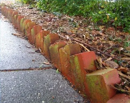 Asigurați-o grădină de frontieră perfectă în zona (foto)