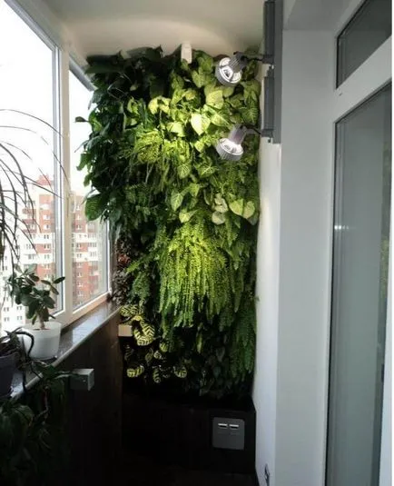 Flori în interiorul apartamentului (foto, consilii) (flori) Flori în interiorul apartamentului (foto, consilii)