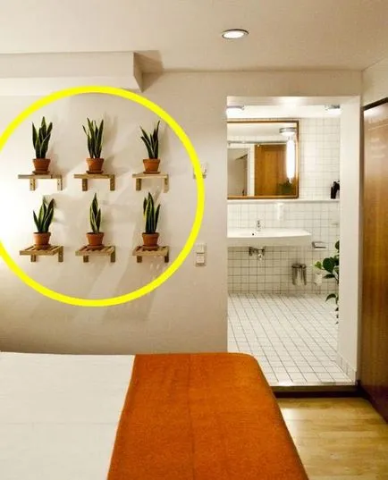 Culori în interior sau cum să reînvie lucrurile interioare, interior