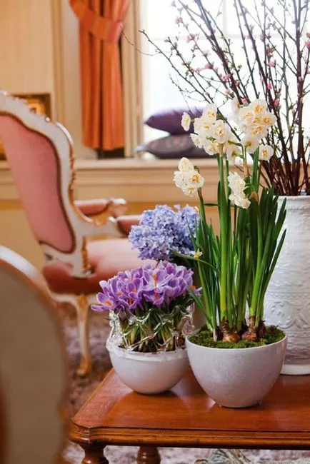 Flori in interior