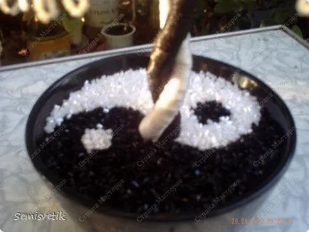 Lemn yin-yang a perlelor cu mâinile dirigintelui cu fotografie (mâini) Lemn yin-yang a perlelor cu mâinile un master class cu fotografii