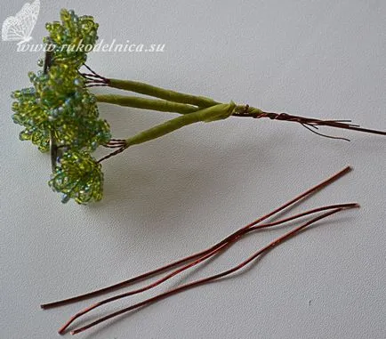 diagrama țese, foto și video ateliere Money Tree Bead