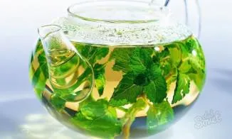 Menta ulei esential pentru mijloacele testate de uscatoare de par frumuseții feminine