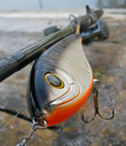 bazele jerkbait