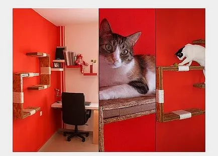 Casa Cat