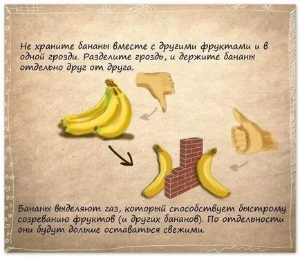 tehnologii și tehnici - Enciclopedia atât desfășurată fără refrigerare (antrenării) tehnologii și tehnici Encyclopedia - cum se face fără un frigider