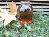 Fanta la domiciliu, reteta limonada de portocale congelate (limonada) Fanta la domiciliu, reteta de portocale limonada congelate