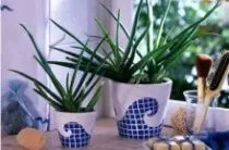 naturale moduri de a face filtrul de aer în apartament