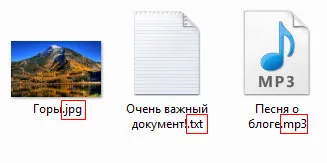 Fișier și dosar