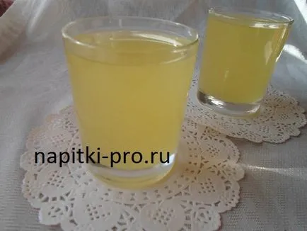 Fanta la domiciliu, reteta de portocale limonada congelate (acasă) Fanta la domiciliu, reteta de portocale limonada congelate