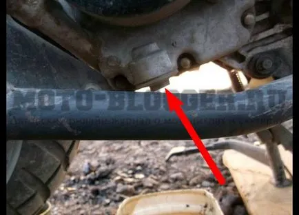 Fotografii din înlocuirea uleiului din motor și cutia de viteze scuterul, alisa-motoare (partea de jos a motorului) Fotografii din înlocuirea uleiului în motor și cutie de viteze scuter Alisa-motoare