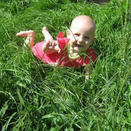 Lawn de bluegrass