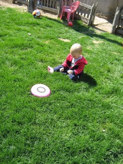 Lawn de bluegrass