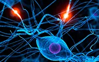 Exercitarea după un accident vascular cerebral - exerciții de active și pasive