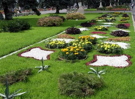 Design peisajului urban - această oază de natură